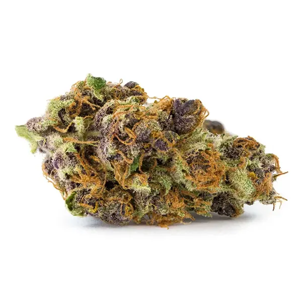 Bud image for Tangerine Dream, cannabis dried flower by San Rafael '71