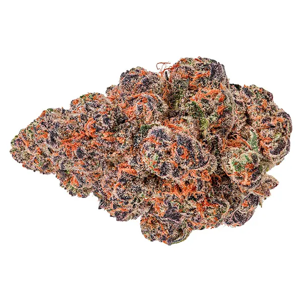 Bud image for Blackberry Gelato, cannabis dried flower by Cheers Cannabis