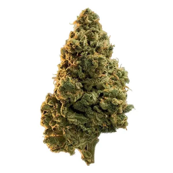 Product image for Edison Reserve Cannabis Flower by Organigram Holdings Inc.
