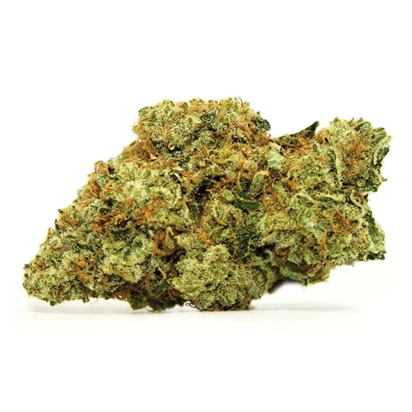 Product image for Reflect Reserve, Cannabis Flower by Cove