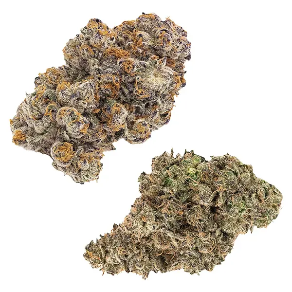 Bud image for Duos: Jungle Fumes & Kandy Cake - Dried Flower, cannabis all products by FIGR