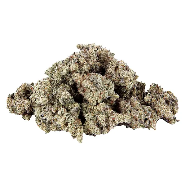 The Showcase (Dried Flower) by Selected.