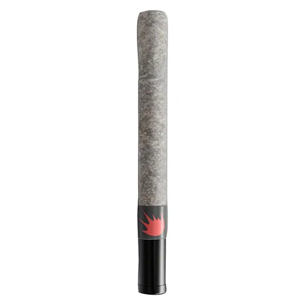 Image for Gas Doink Pre-Roll