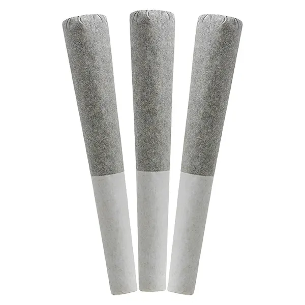 Image for Fatso - BC Organic Pre-Roll