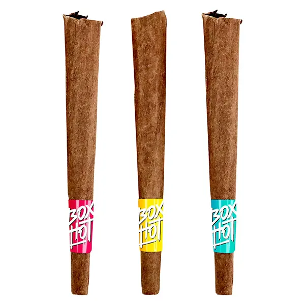 Image for Fatties Vol. 2 Infused Blunt Variety Pack, cannabis blunts by BoxHot