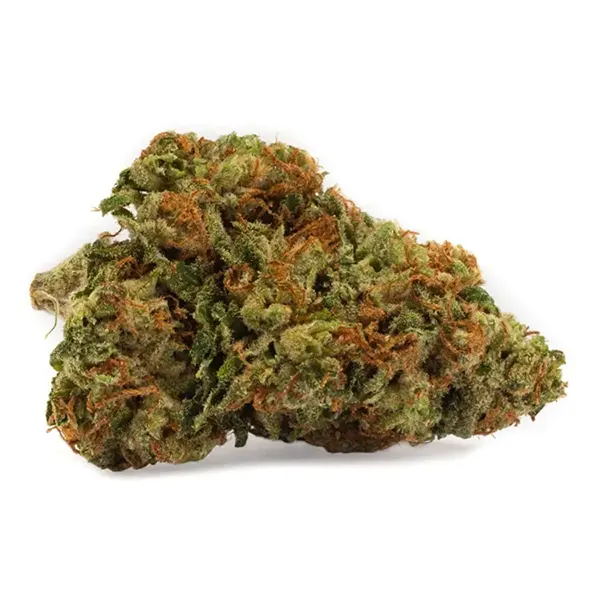 Bud image for Kosher Kush, cannabis dried flower by DNA Genetics