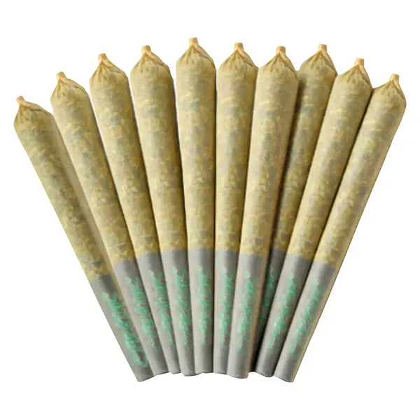 First Class Gas Pre-Roll (Pre-Rolls) by Strains Limited