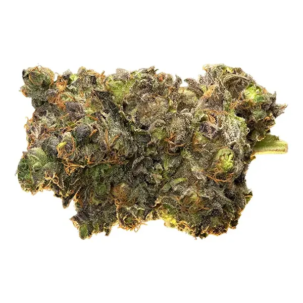 Product image for Blue Velvet, Cannabis Flower by Edison