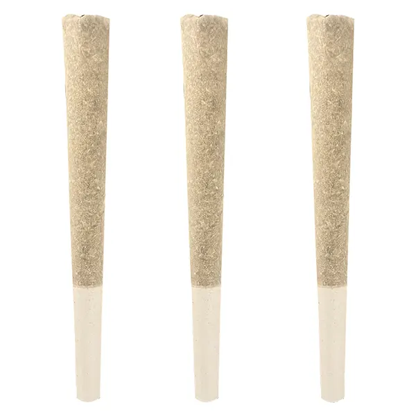 Image for Fool's Gold Pre-Roll, cannabis pre-rolls by Seeker