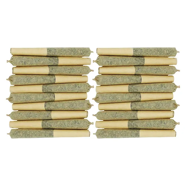 Image for Frenchy Macaroni Pre-rolls, cannabis pre-rolls by Starting Point