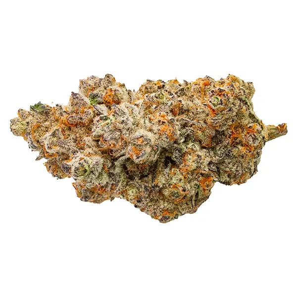 Bud image for Frost Monster, cannabis all products by Northern Canna