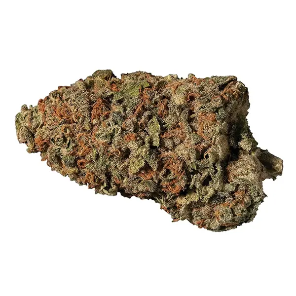 Bud image for Tsunami, cannabis dried flower by Hexo