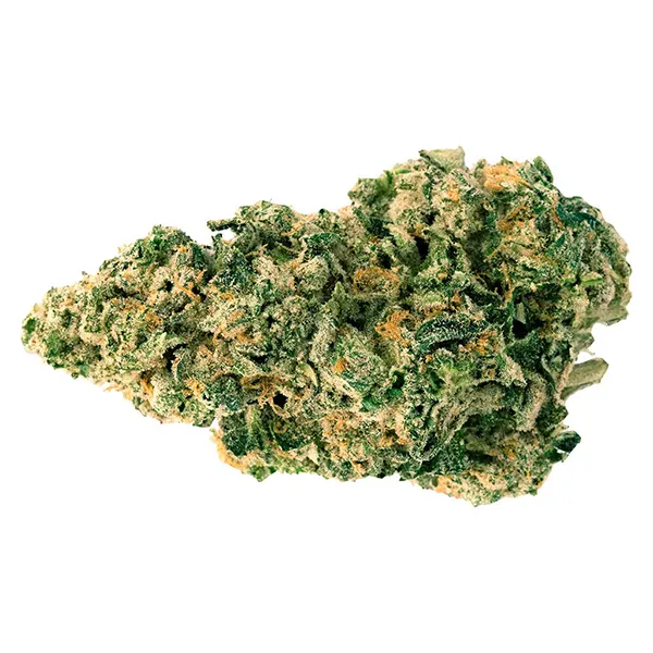 Bud image for Galactic Jack, cannabis all products by Back Forty