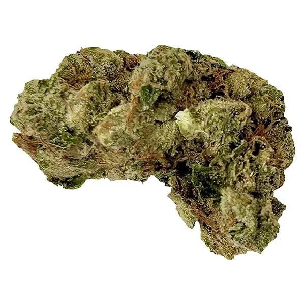 Image for Garlic Haze
