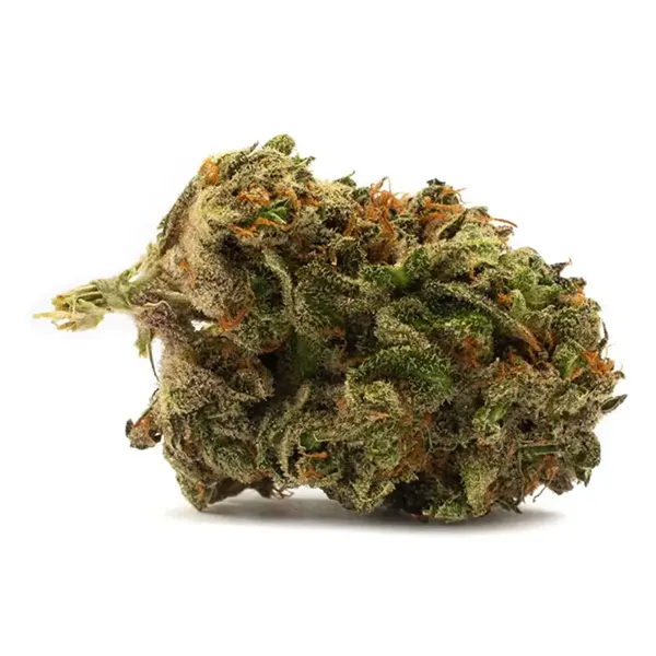 Product image for Hybrid, Cannabis Flower by Houseplant