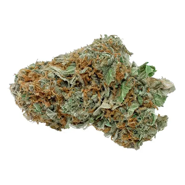 Product image for BC Sensi Star, Cannabis Flower by Flowr