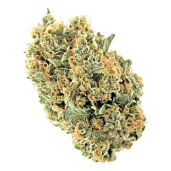 Product image for Grace, Cannabis Flower by UP