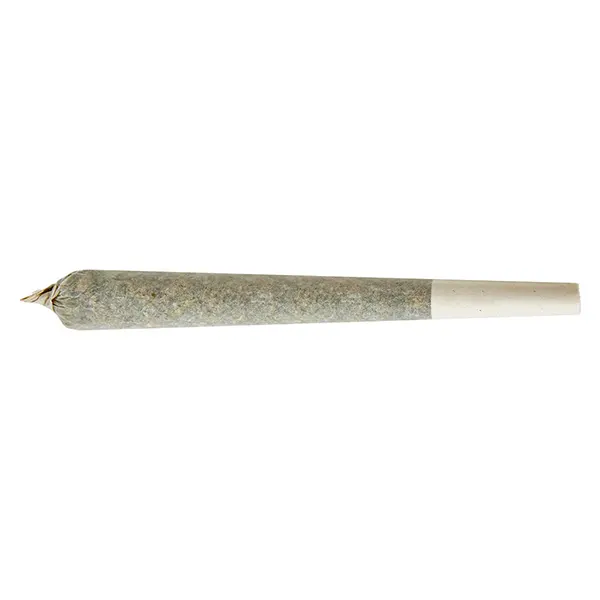 Image for Lemon Rush Double Infused Pre-Roll, cannabis all products by Shed Boyz
