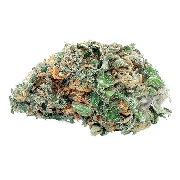 Ace Valley Sativa (Dried Flower) by Ace Valley
