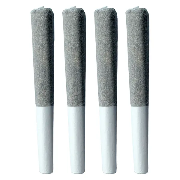 Image for Grape Pie Pre-Roll, cannabis all products by 3Saints