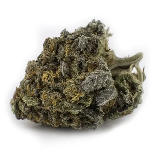 Product image for Wappa, Cannabis Flower by Fireside