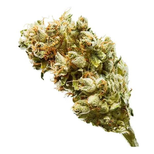 Product image for Meridian, Cannabis Flower by UP