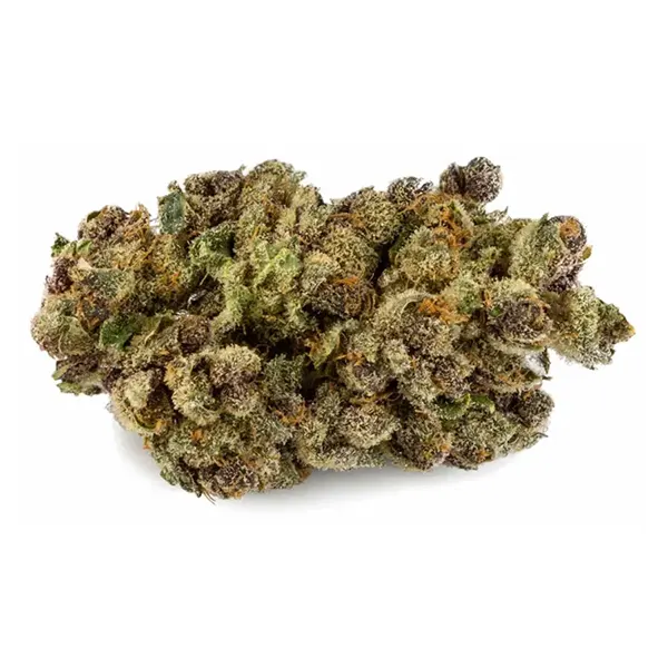 Product image for Purple Chitral, Cannabis Flower by Woodstock