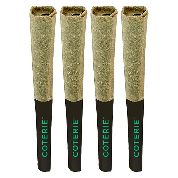 Jealousy Pie Pre-Roll (Pre-Rolls) by Coterie