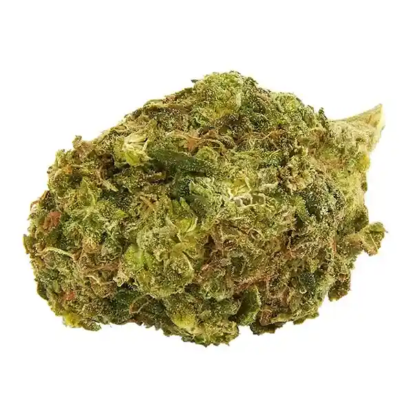 Product image for San Fernando Valley, Cannabis Flower by Beleave
