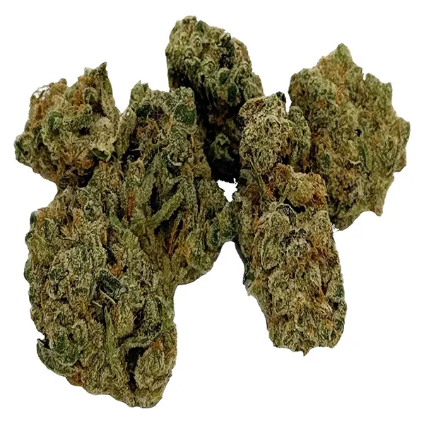 Bud image for Lamb of God, cannabis dried flower by Headstone Cannabis