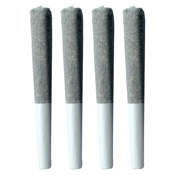 Image for Laundry Loopz Pre-Roll, cannabis all products by 3Saints