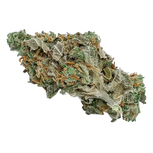 Product image for BC Diesel, Cannabis Flower by Flowr