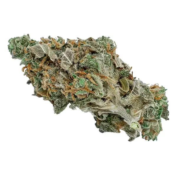 BC Diesel (Dried Flower) by Flowr