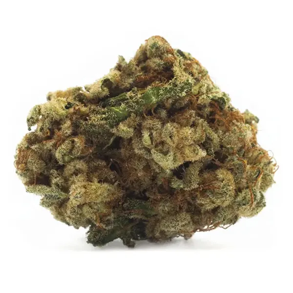 Bud image for Sativa, cannabis dried flower by Houseplant