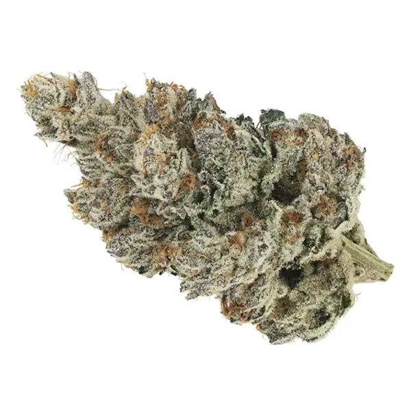 Headstash (Quadr..