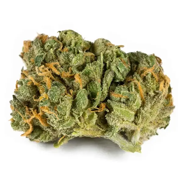 Product image for Cabaret, Cannabis Flower by AltaVie
