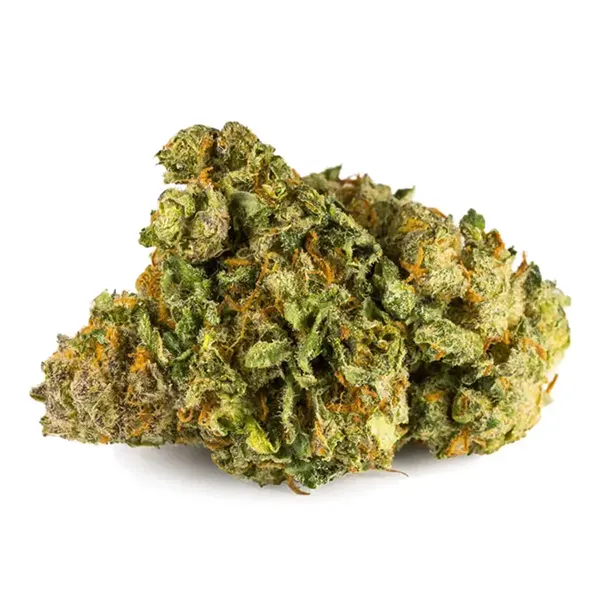 Product image for North Star CBD, Cannabis Flower by AltaVie