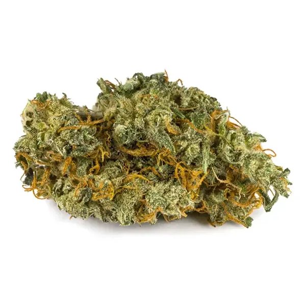 Product image for Harmonic, Cannabis Flower by AltaVie