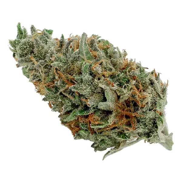 Product image for BC Delahaze, Cannabis Flower by Flowr
