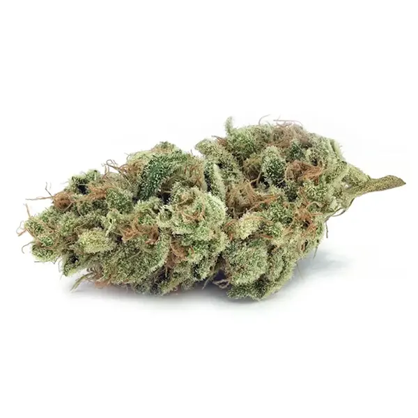 Bud image for Blue Dream, cannabis dried flower by Tantalus Labs