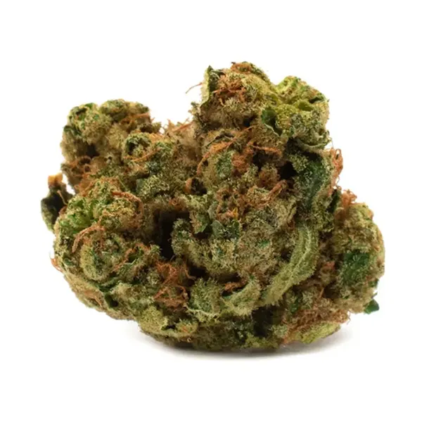 Bud image for Indica, cannabis all categories by Houseplant