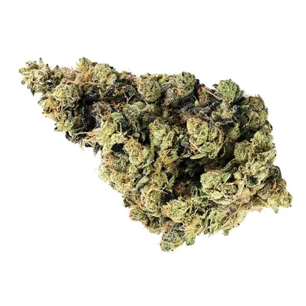 Bud image for Sour OG (Ruxton), cannabis dried flower by Broken Coast