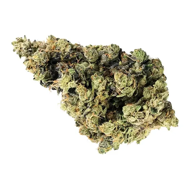 Bud image for Sour OG (Ruxton), cannabis all categories by Broken Coast