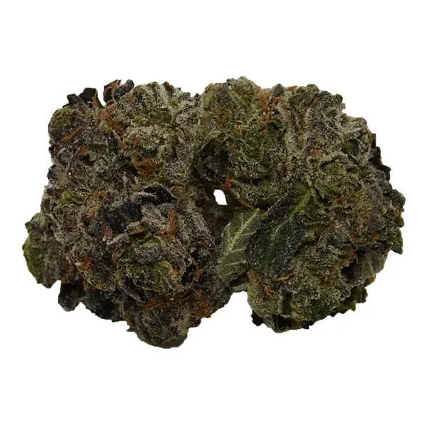 Bud image for Pink Kush, cannabis dried flower by Canna Farms