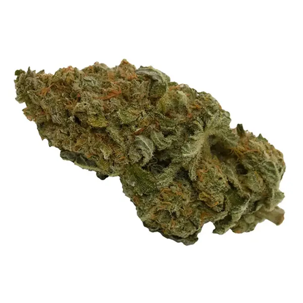 Bud image for Blue Dream, cannabis dried flower by Canna Farms