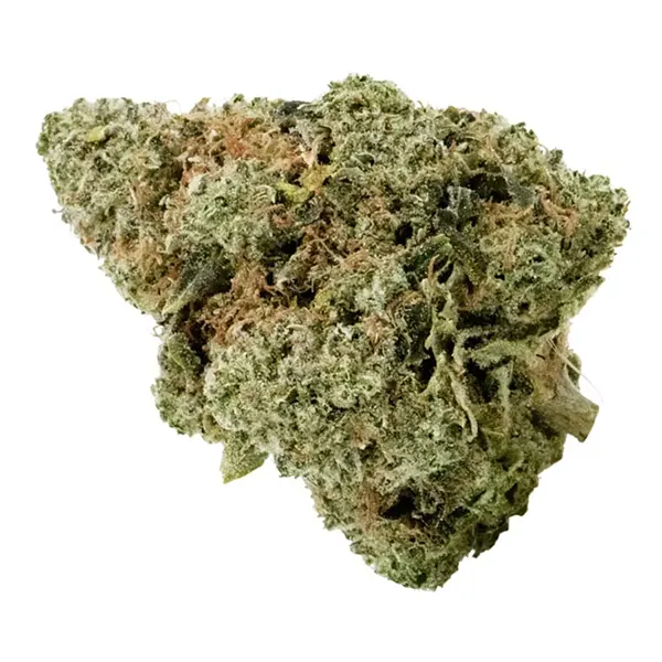 Bud image for GSC, cannabis dried flower by Canna Farms