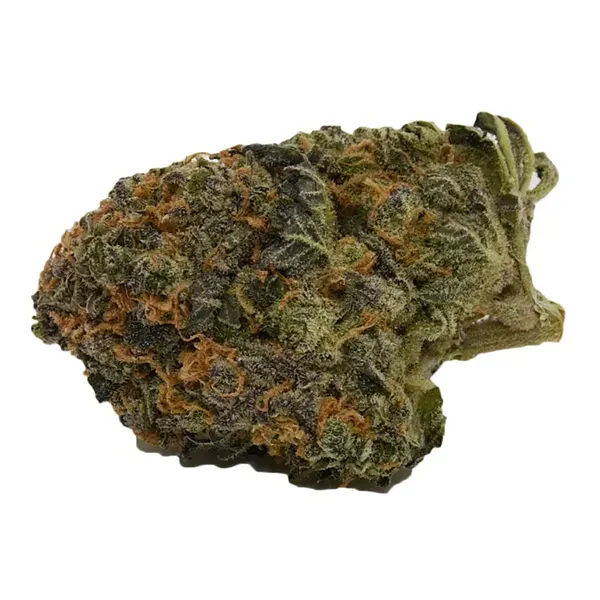 Product image for Critical Super Silver Haze, Cannabis Flower by Canna Farms