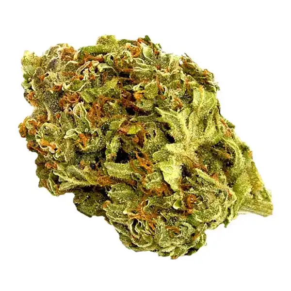 Bud image for Tangerine Dream, cannabis dried flower by Canna Farms