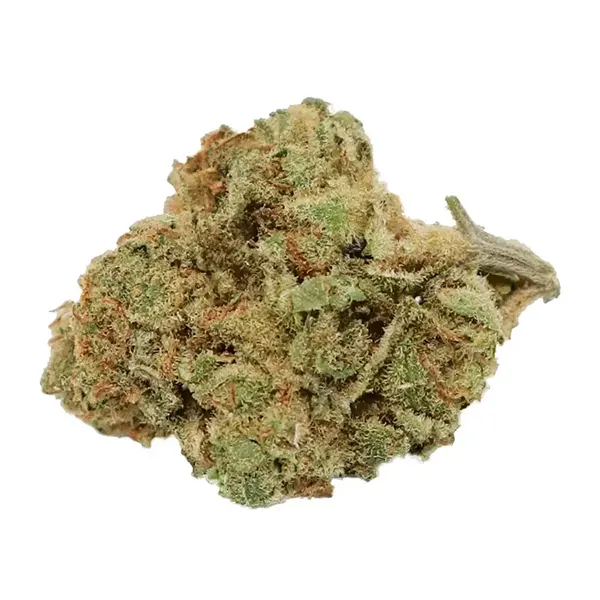Product image for GMO, Cannabis Flower by Qwest