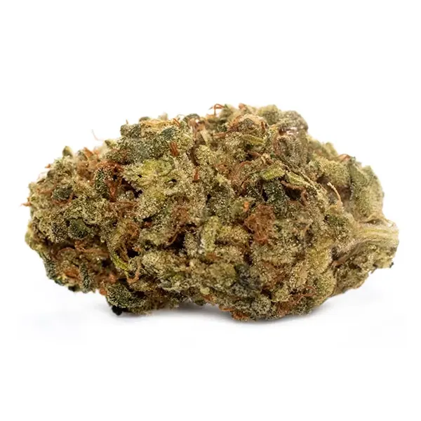 Bud image for High Seas, cannabis dried flower by Reef